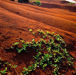 4个月增加300万《极限竞速：地平线5》玩家数突破3700万